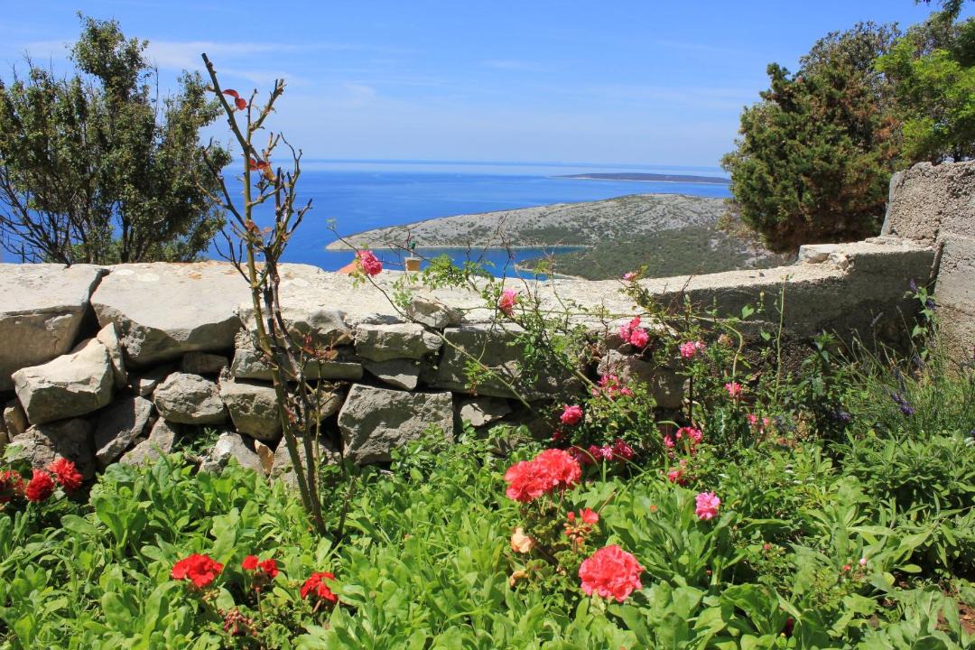 Photo of Others in Ustrine