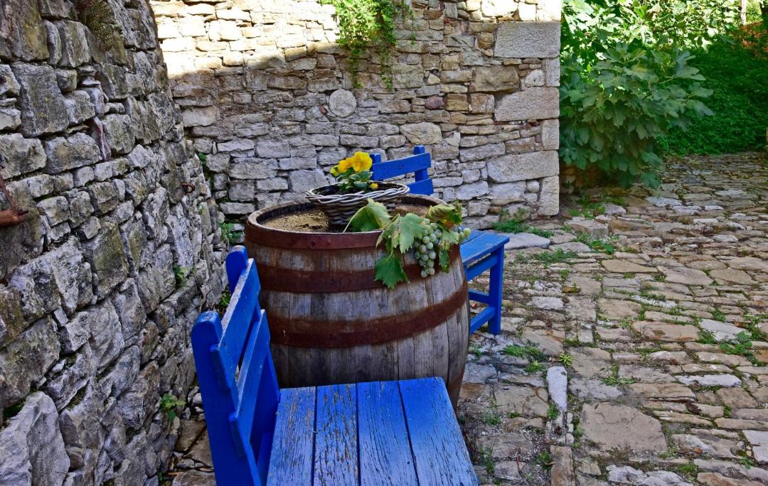 Photo of Others in Motovun