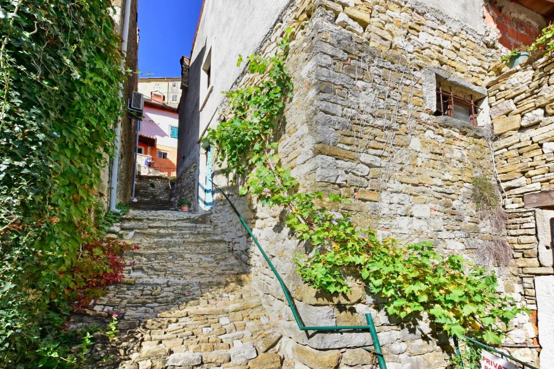Photo of Others in Motovun
