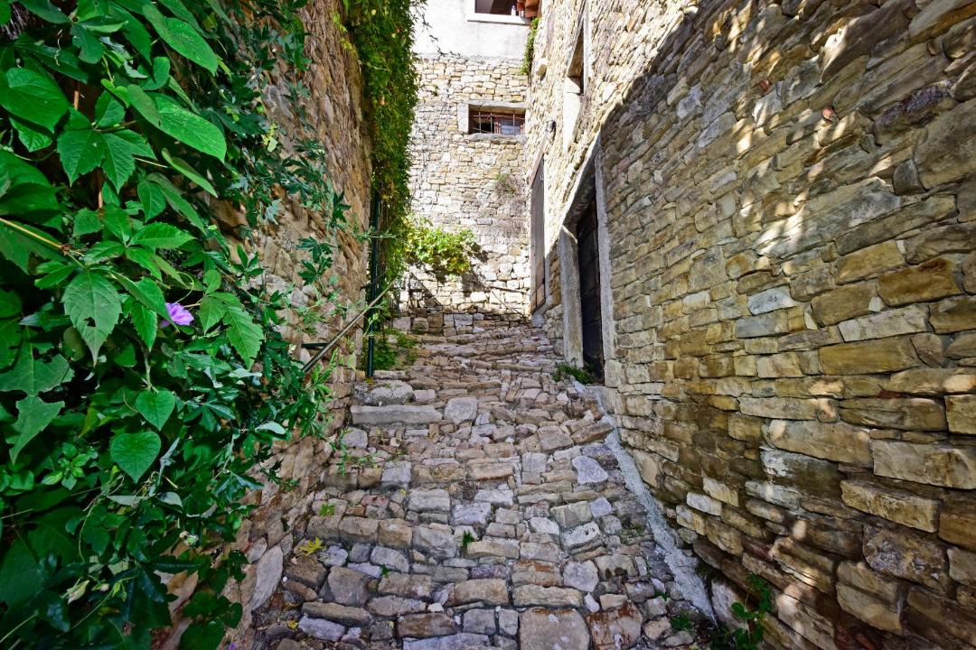 Photo of Others in Motovun