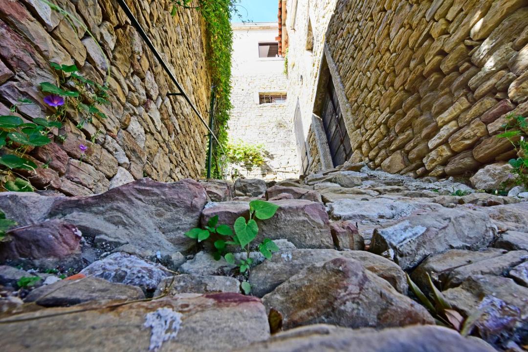 Photo of Others in Motovun