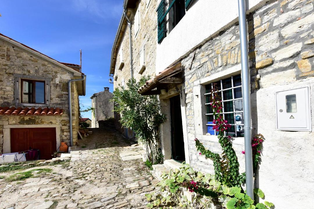 Photo of Others in Motovun