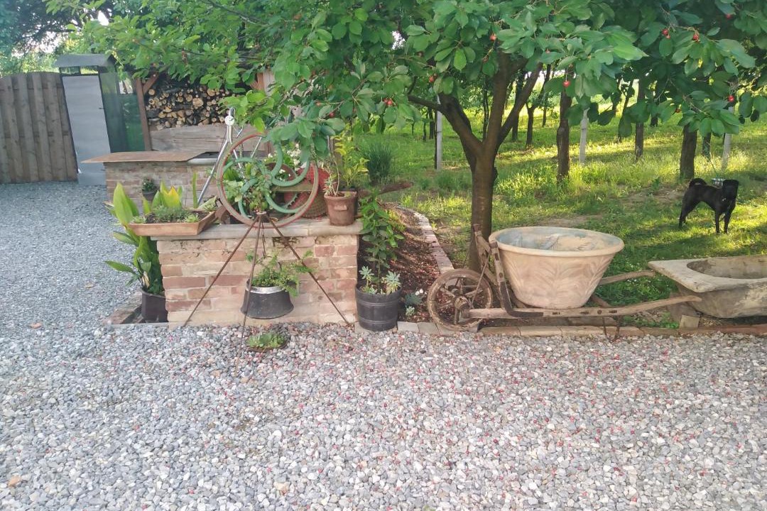 Photo of Others in Kopacevo