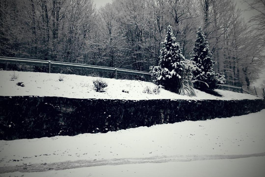 Photo of Others in Trnovac