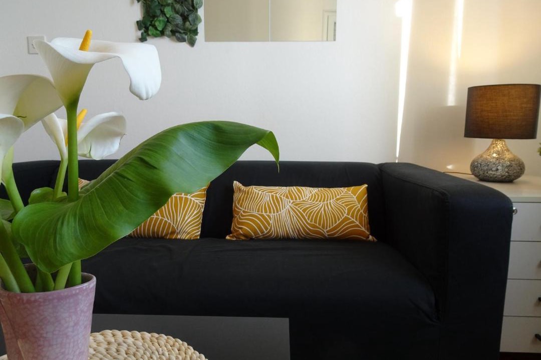Photo of Livingroom in Plat