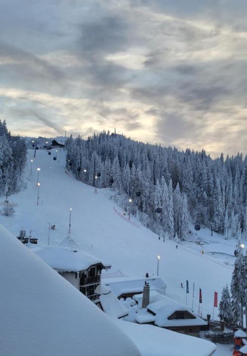 Photo of Others in Jahorina
