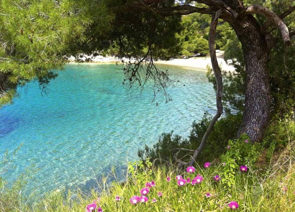 Photo of Others in Saplunara