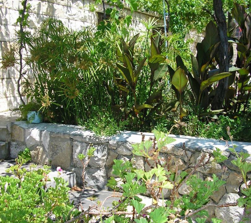 Photo of Others in Krizna luka