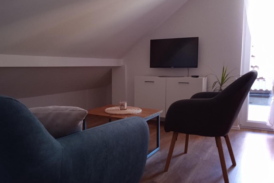 Photo of Livingroom in Barilovic