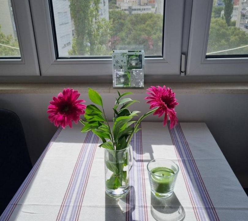 Photo of Others in Vranjic