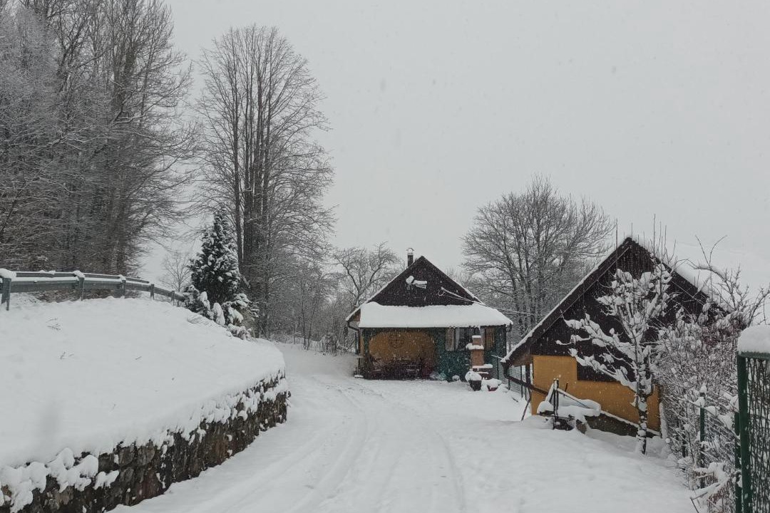 Photo of Others in Trnovac