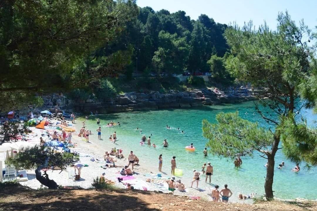 Photo of Others in Valdebek