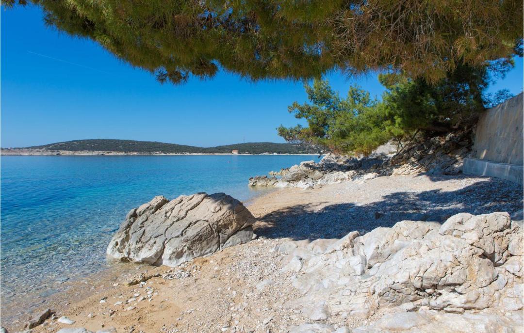 Photo of Others in Martinscica