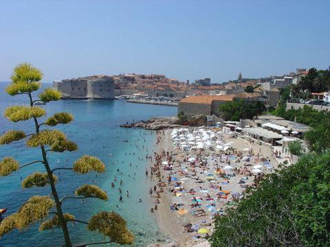 Photo of Others in Ploce