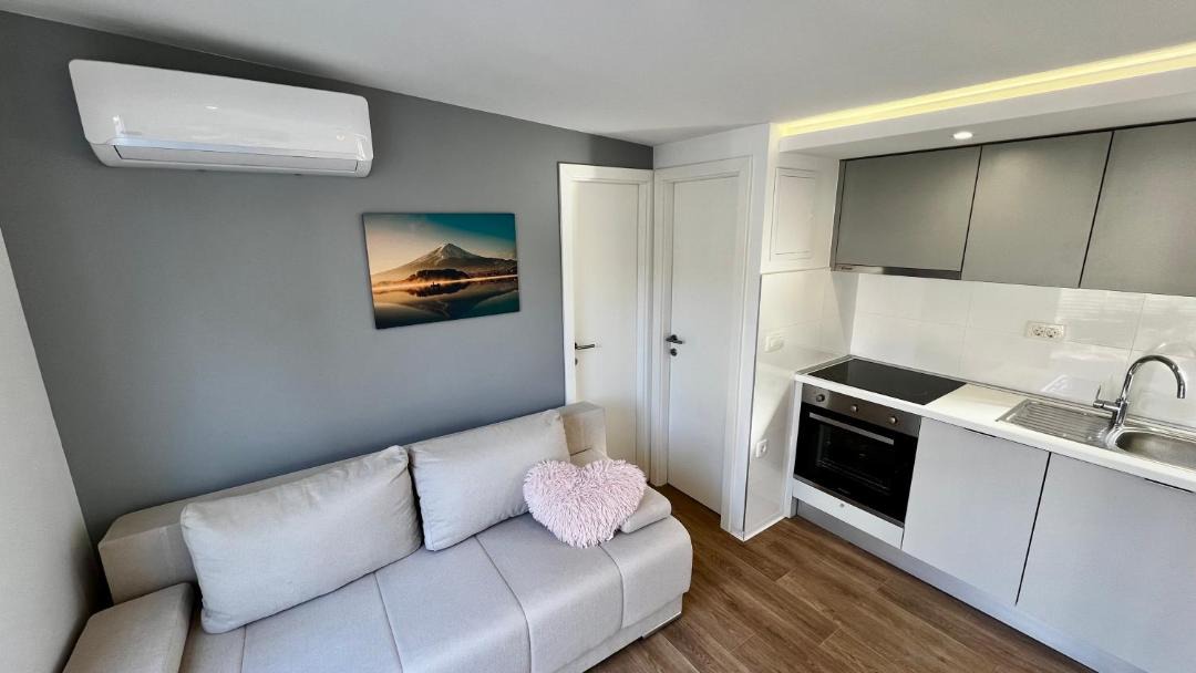Photo of Livingroom in Molat