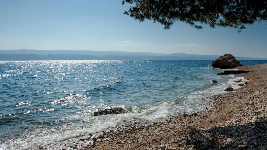 Photo of Others in Stanici