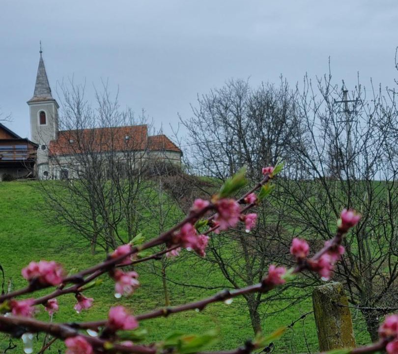 Photo of Others in Sveti Ivan Zelina