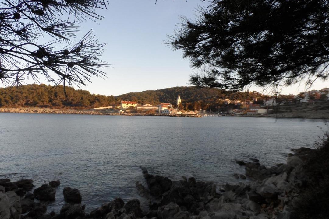 Photo of Others in Cove Murtar