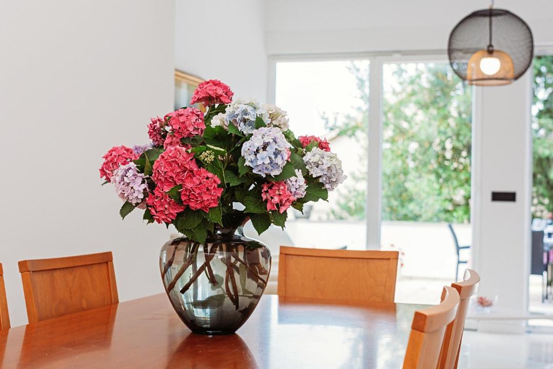 Photo of Others in Preko