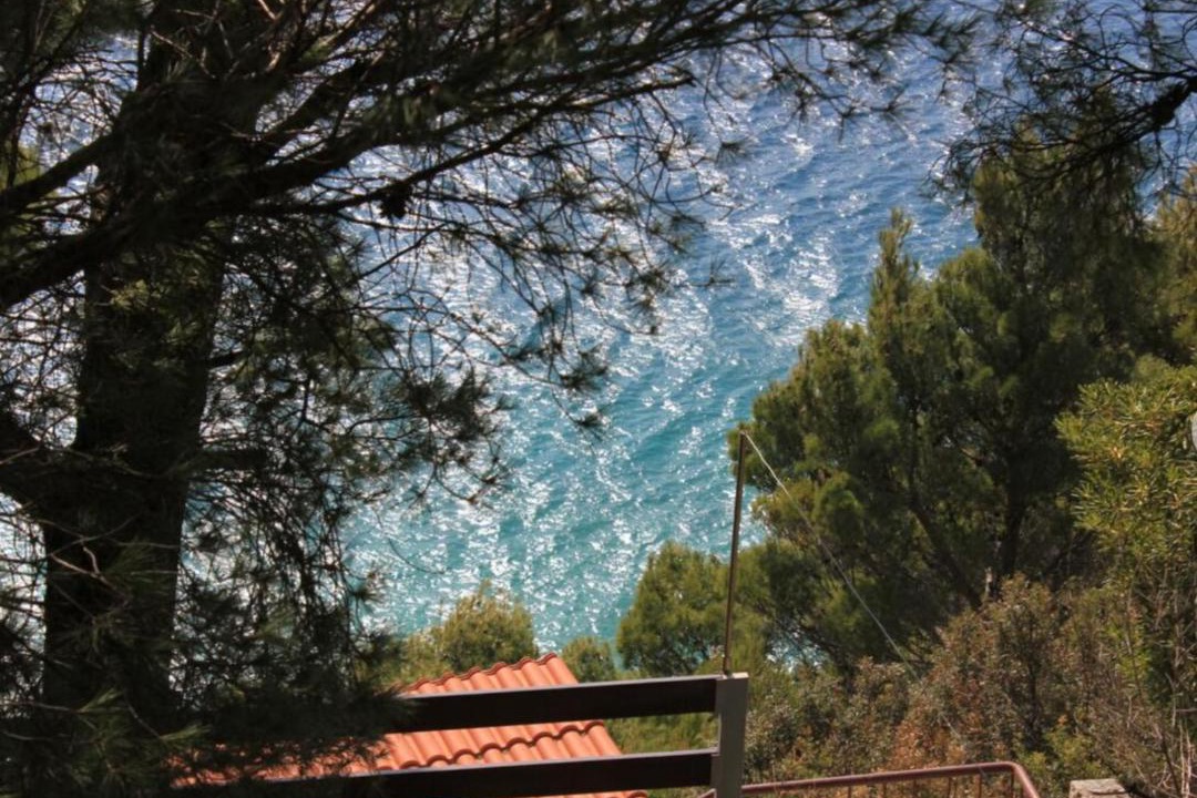 Photo of Others in Marusici