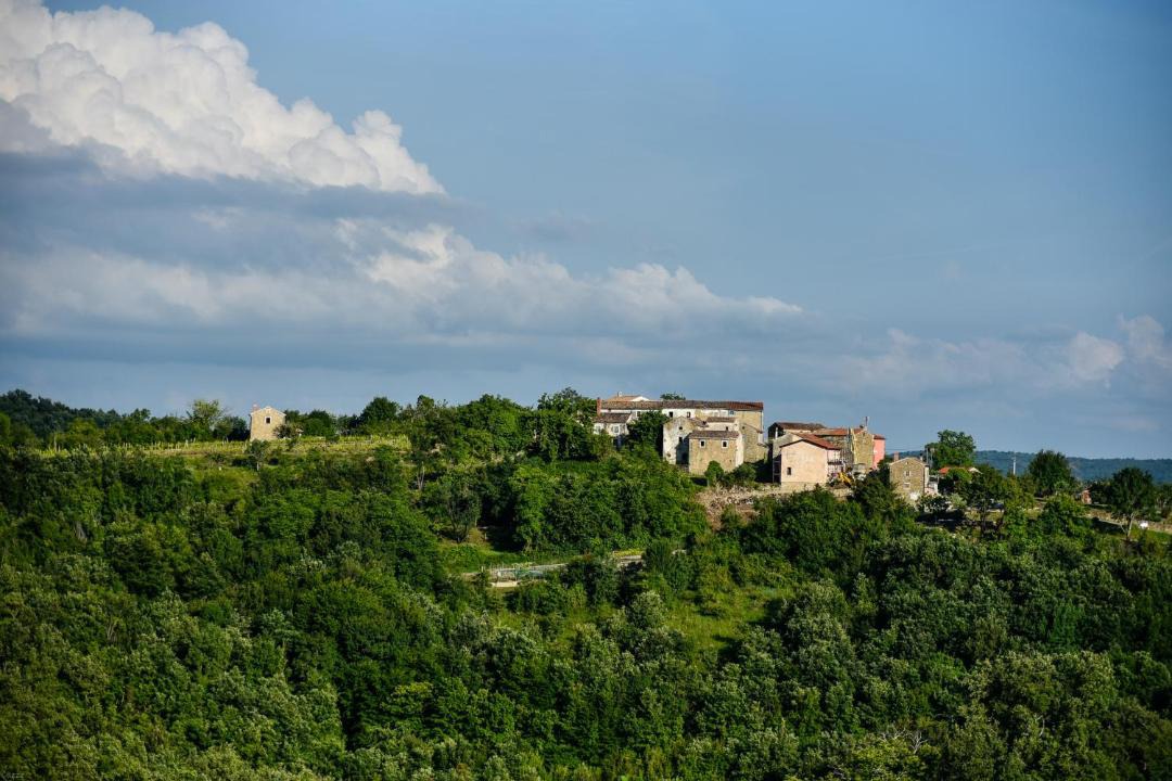 Photo of Others in Marusici
