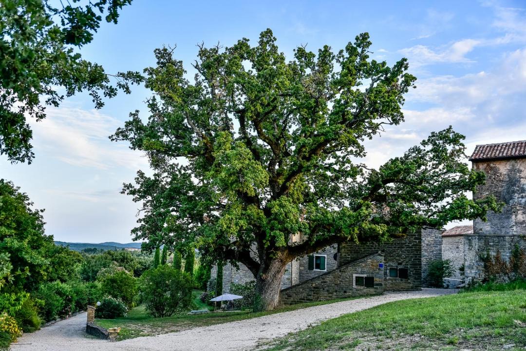Photo of Others in Marusici