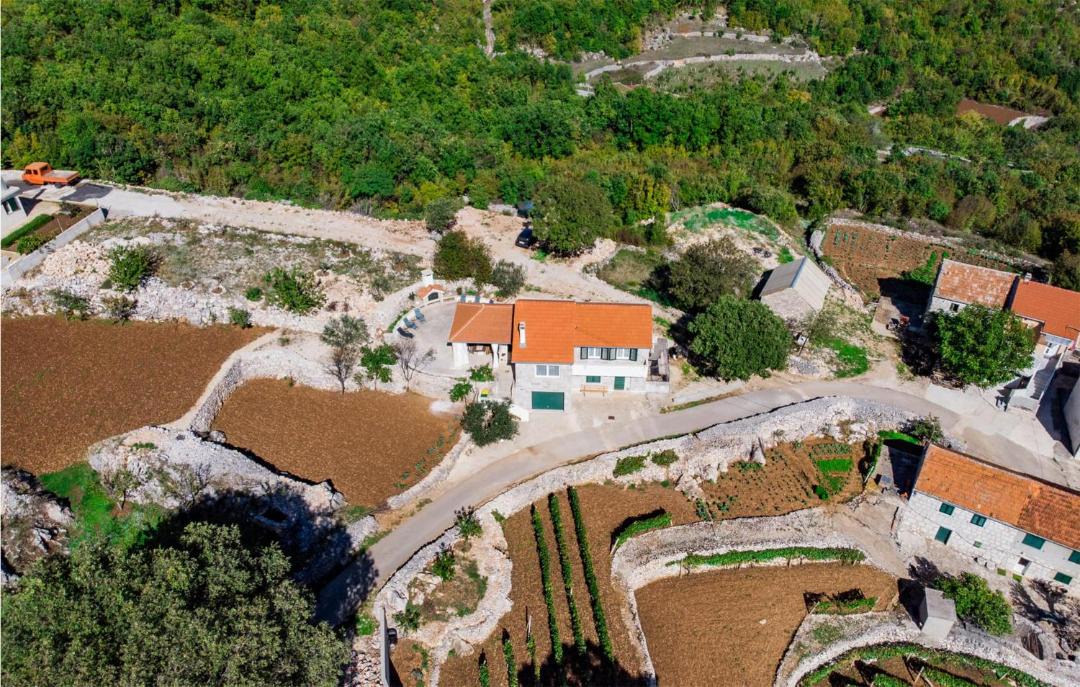 Photo of Others in Lokvicici