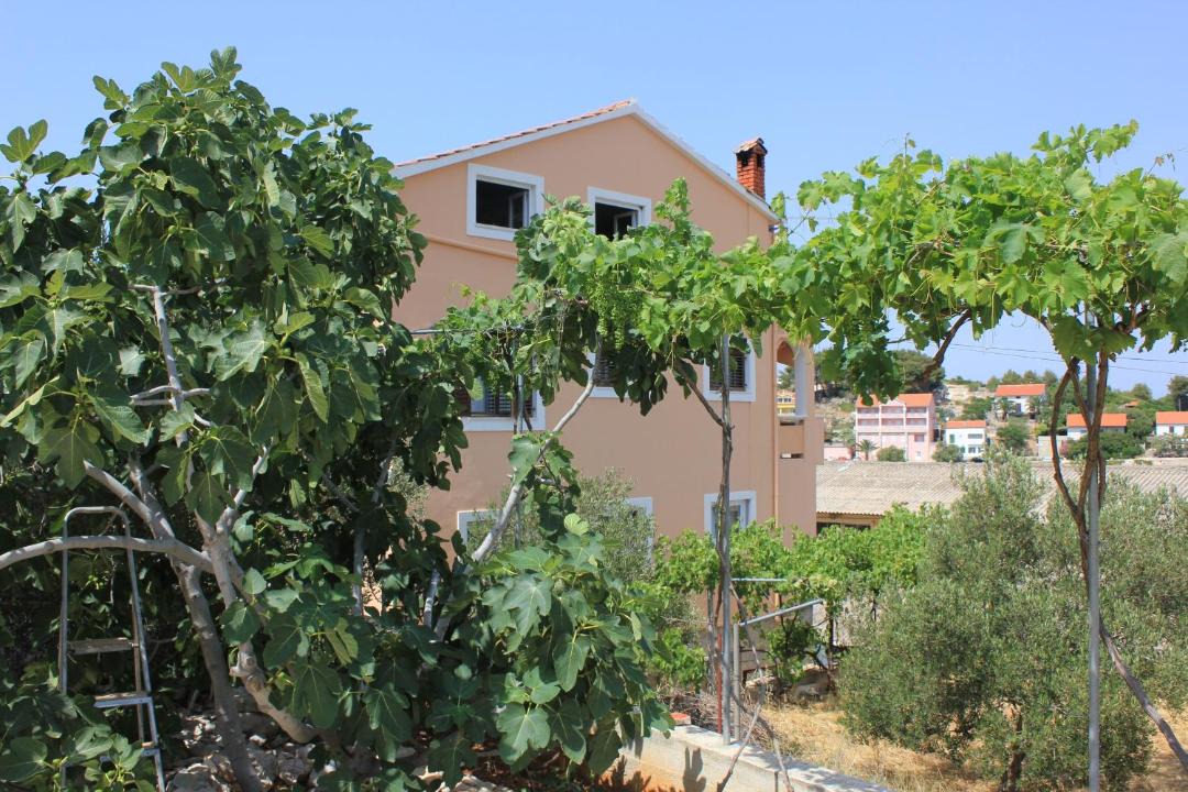 Photo of Others in Island Dugi Otok