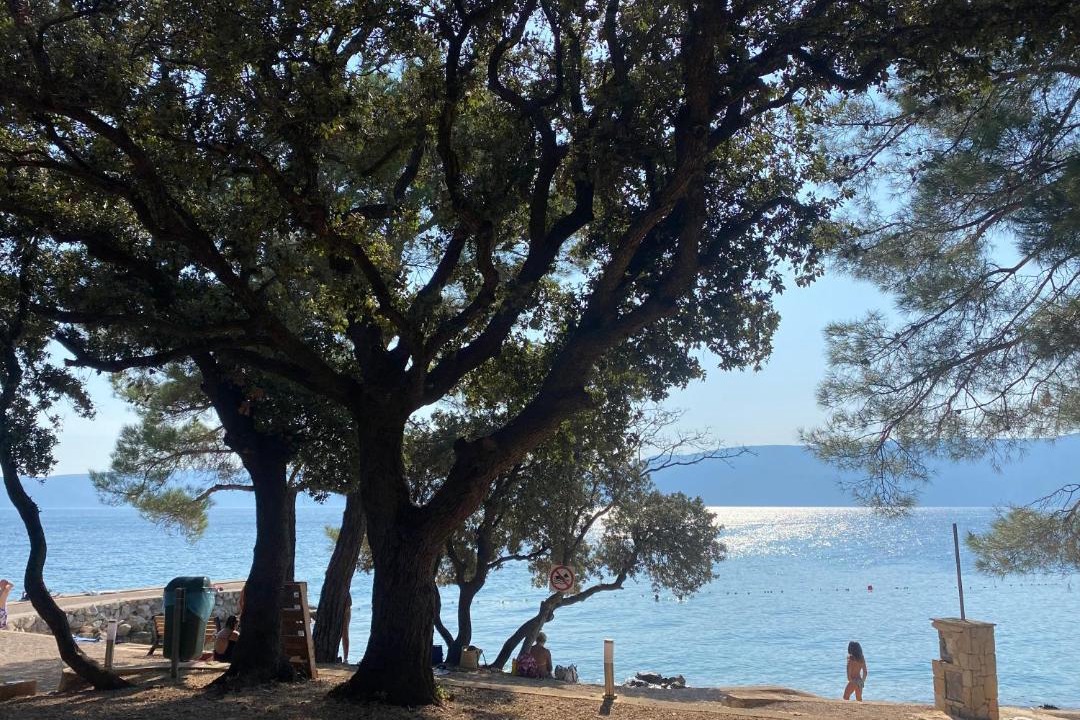 Photo of Others in Pinezici