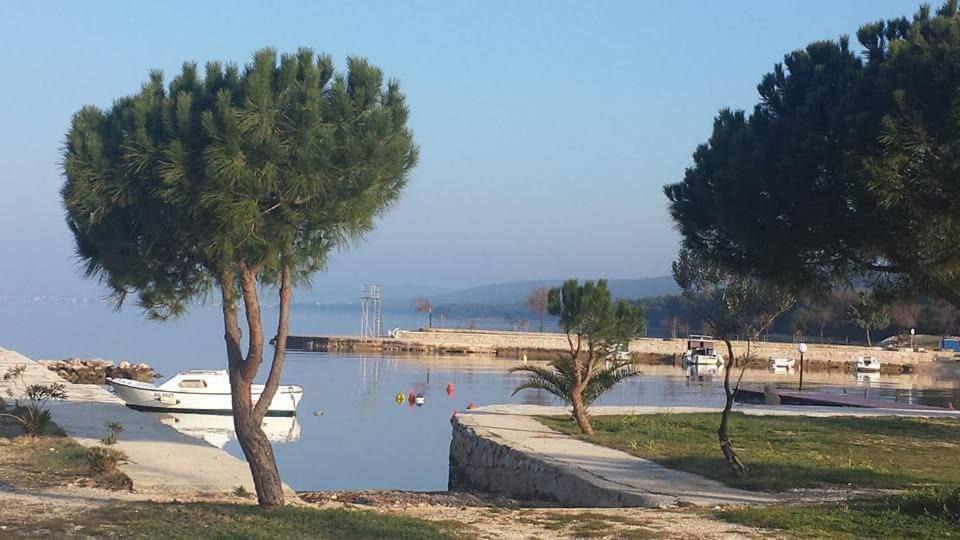 Photo of Others in Sveti Petar