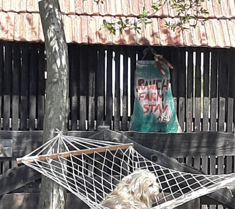 Photo of Others in Catrnja