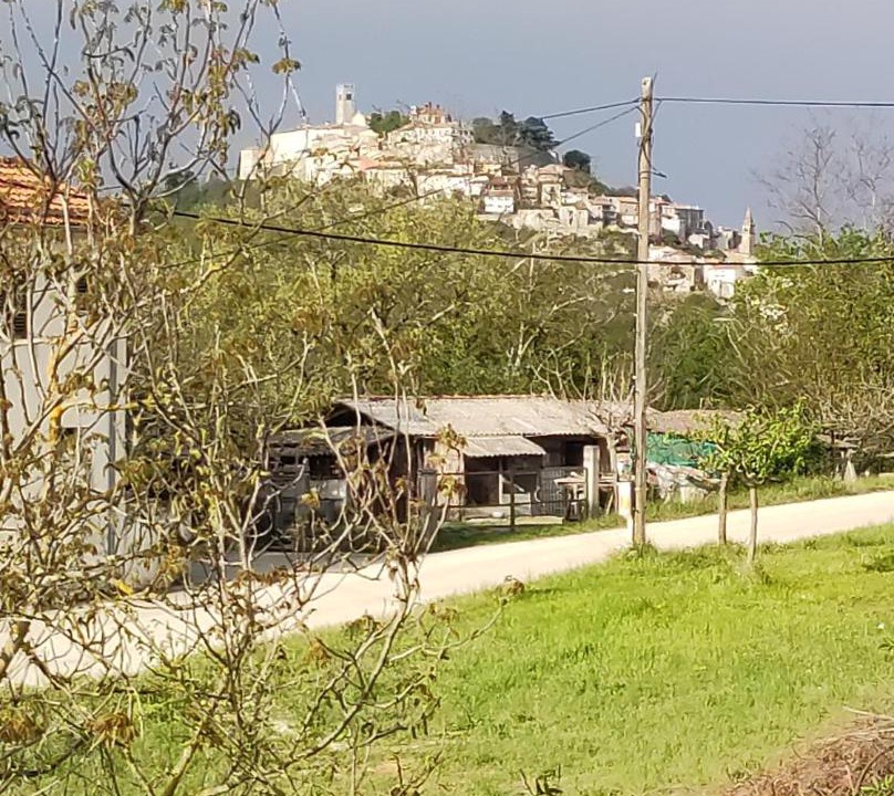 Photo of Others in Brkac
