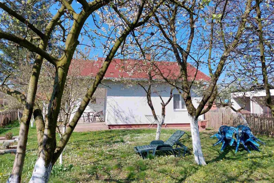 Photo of Others in Bijeljina