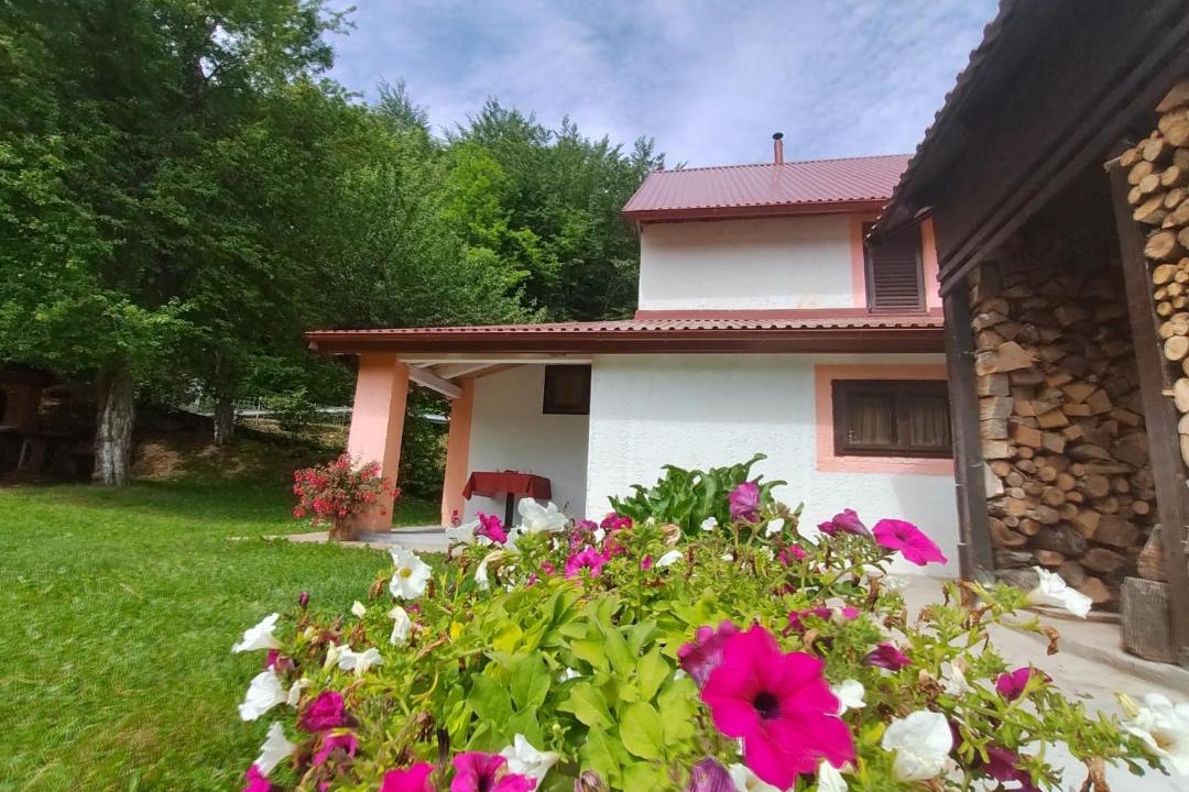 Photo of Others in Trnovac