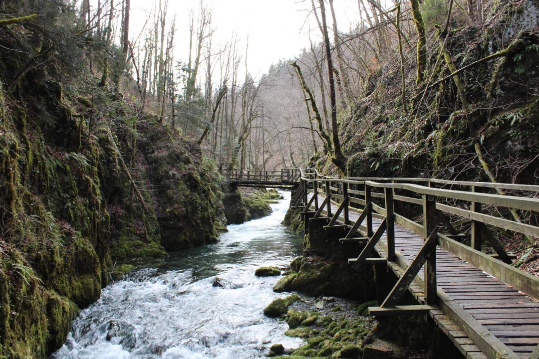 Photo of Others in Vrbovsko