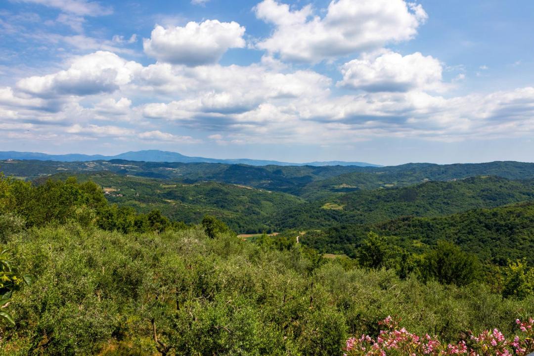 Photo of Others in Kircija