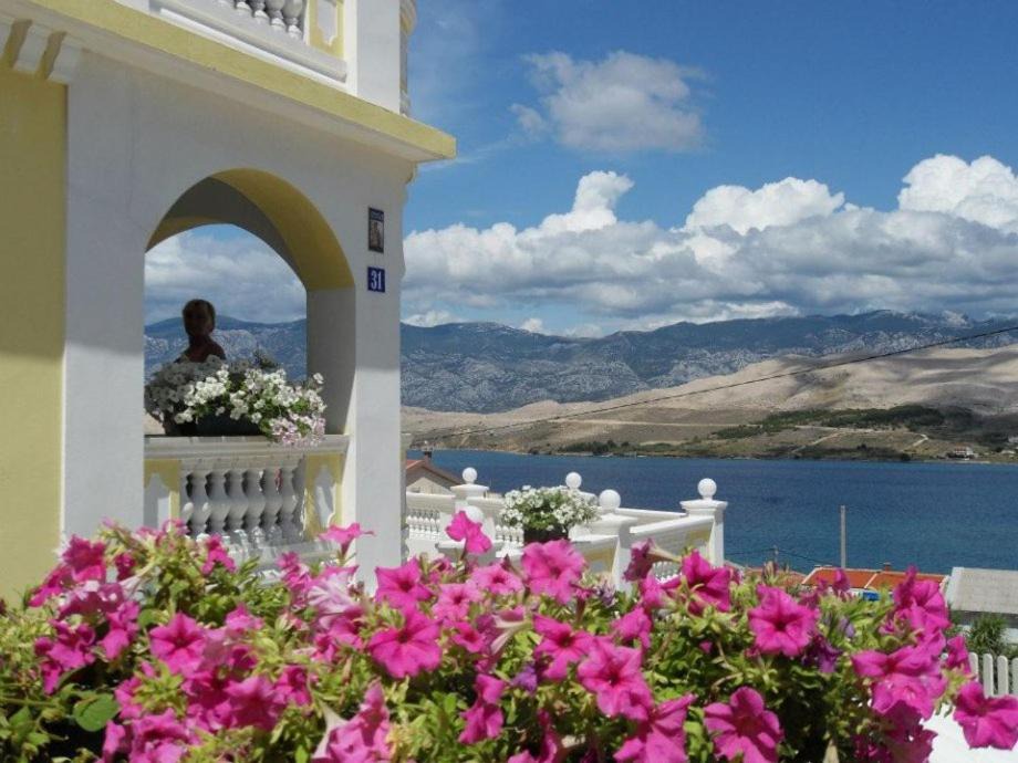Photo of Others in Pag