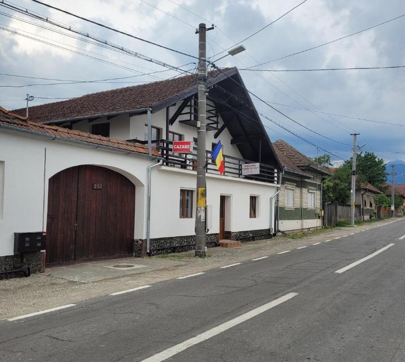 Photo of Others in Cartisoara