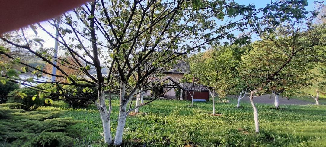 Photo of Others in Zagorje