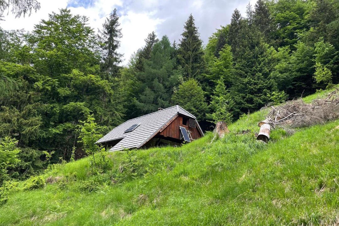 Photo of Others in Bovec