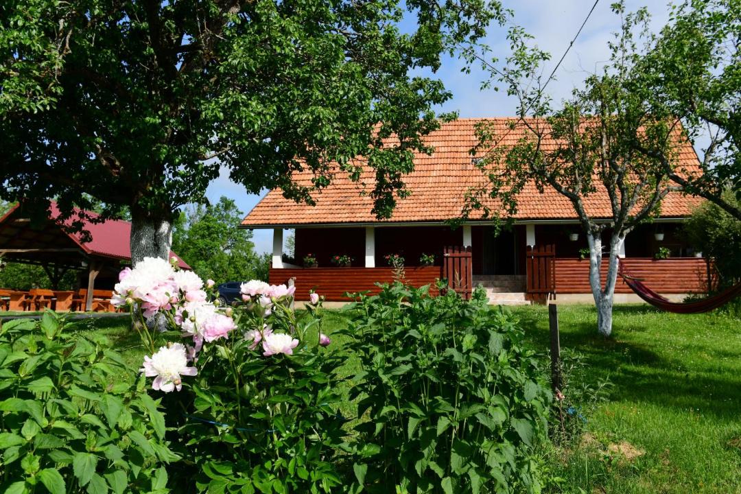 Photo of Others in Rakovica