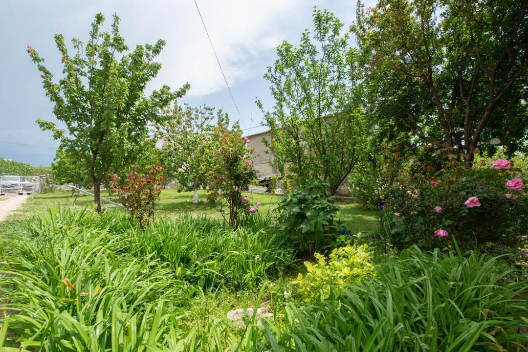 Photo of Outdoor in Kastel Kambelovac