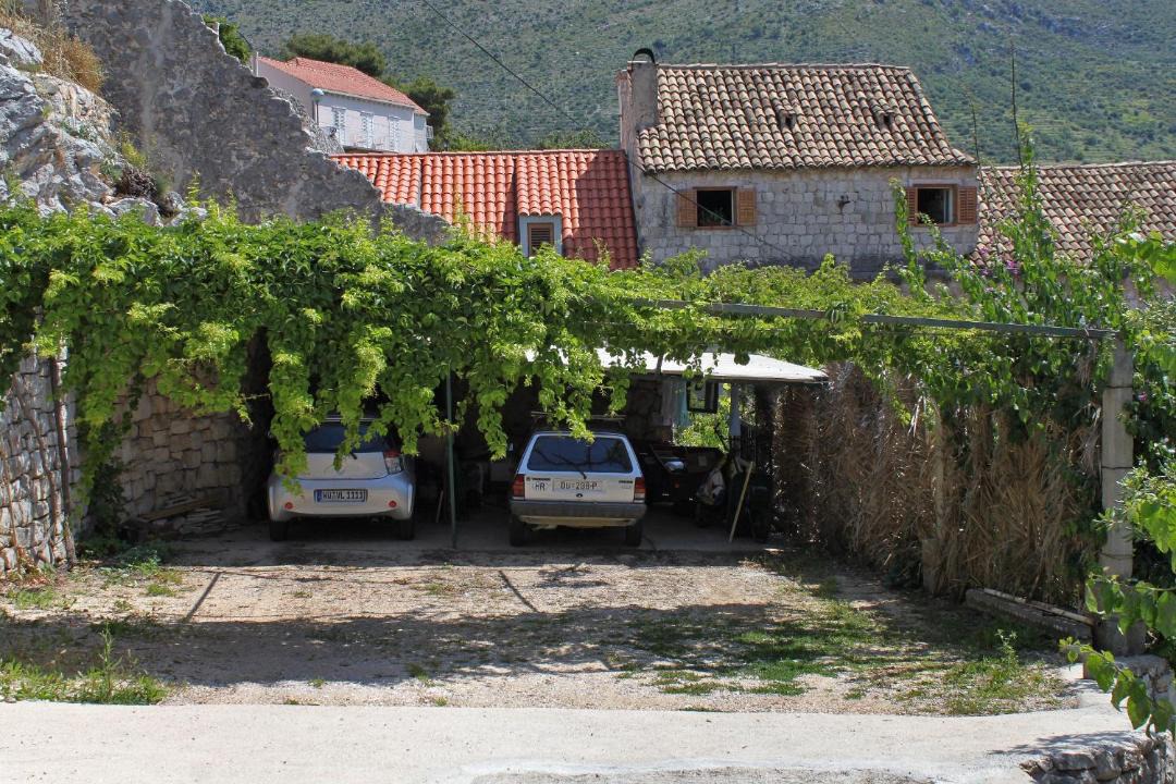 Photo of Others in Zaton