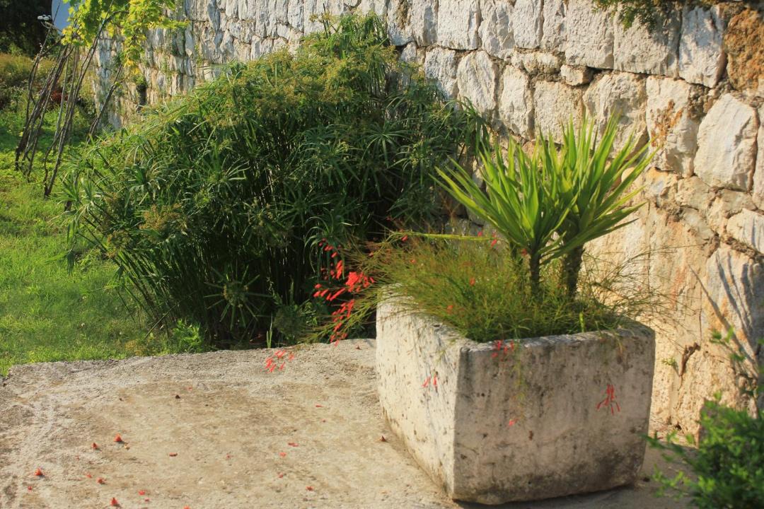 Photo of Others in Brsecine