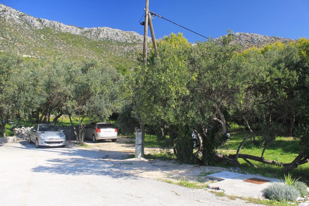 Photo of Others in Brsecine