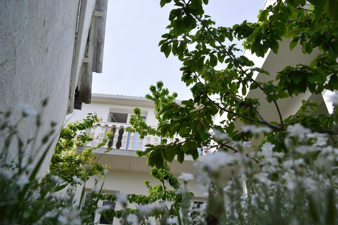 Photo of Others in Muc