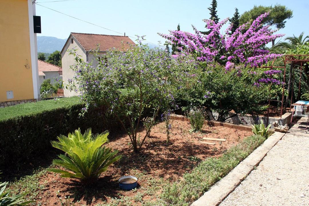 Photo of Others in Vrboska