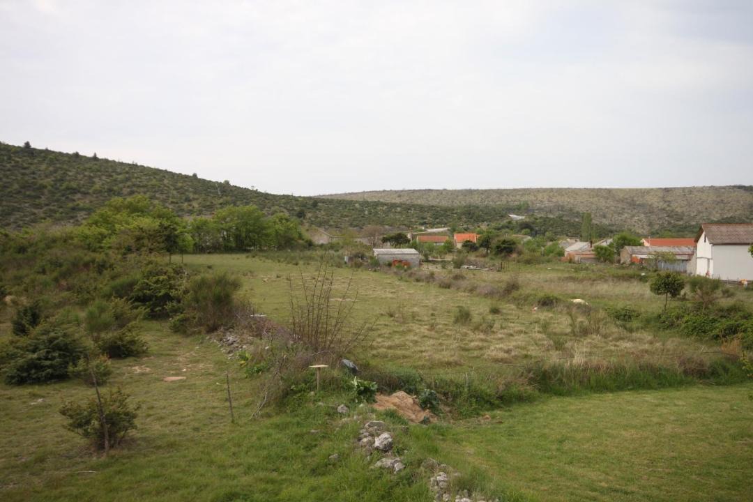 Photo of Others in Ljubac