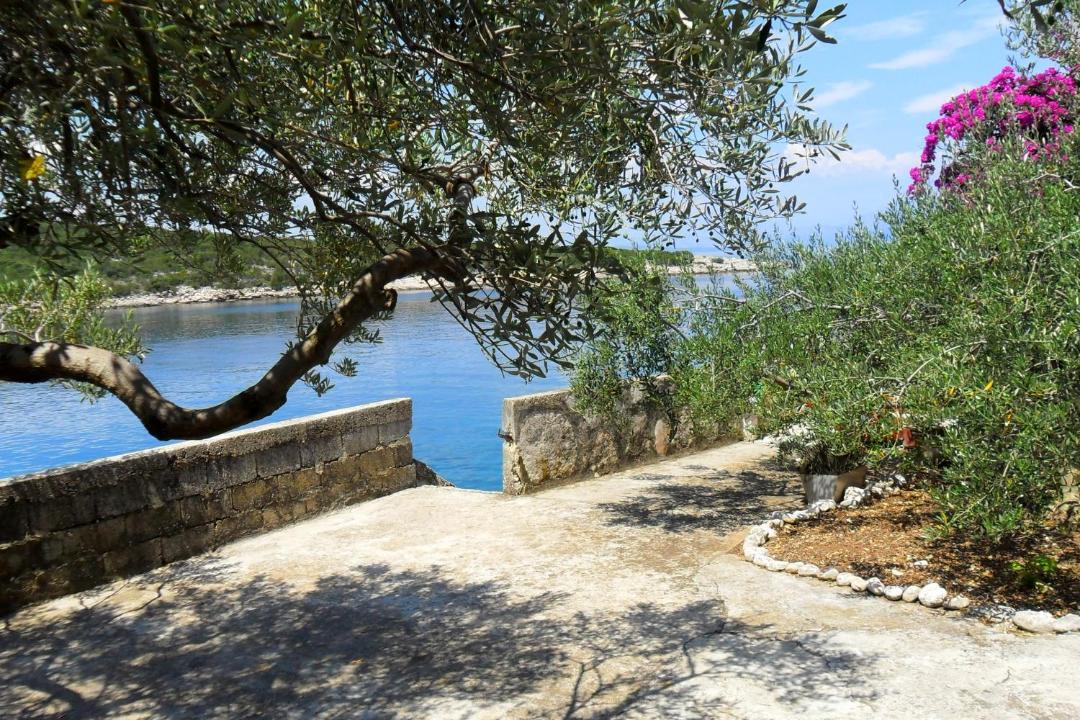Photo of Others in Pokrivenik