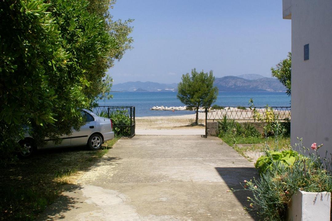 Photo of Others in Drace